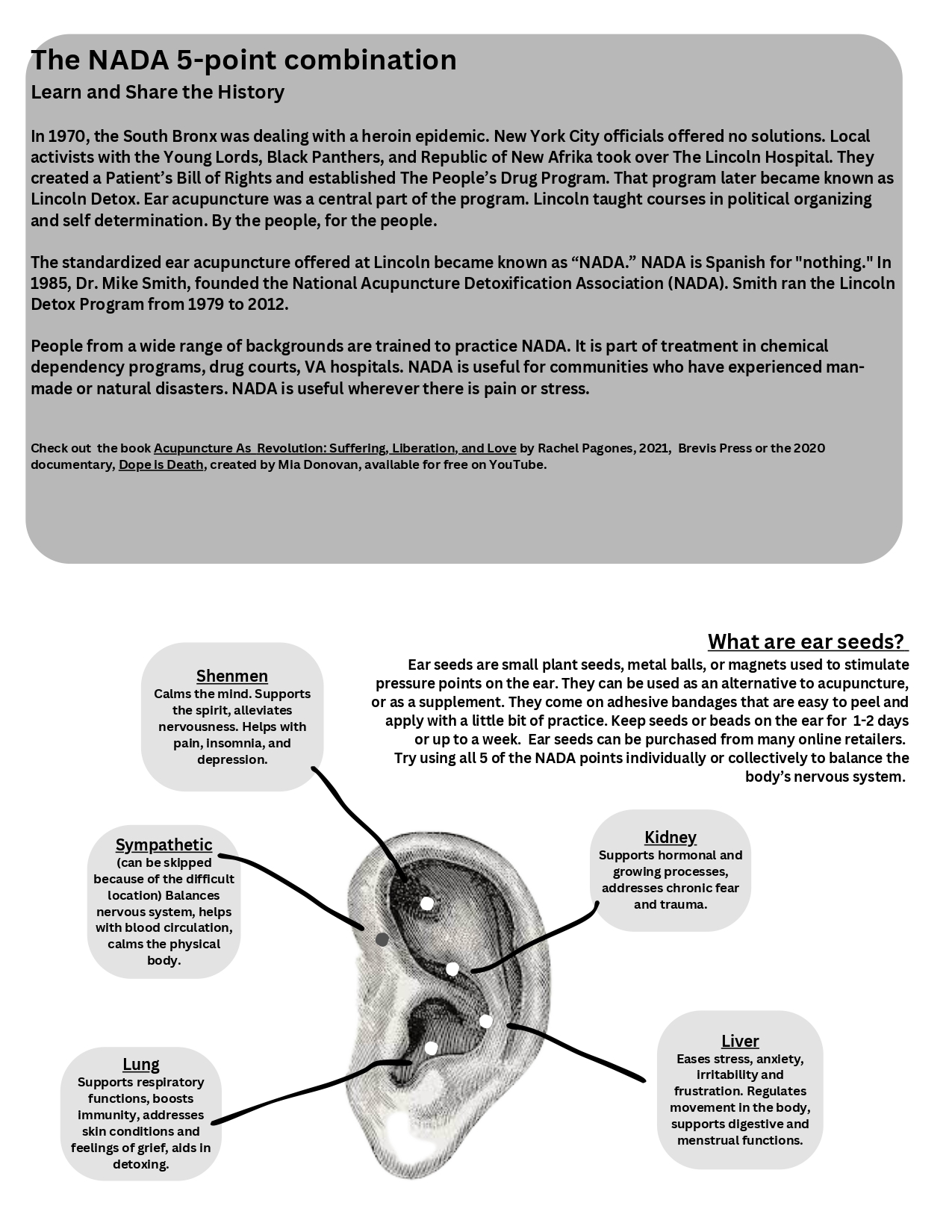 Ear Seeds Resources Manchester Acupuncture Studio