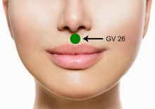 gv26