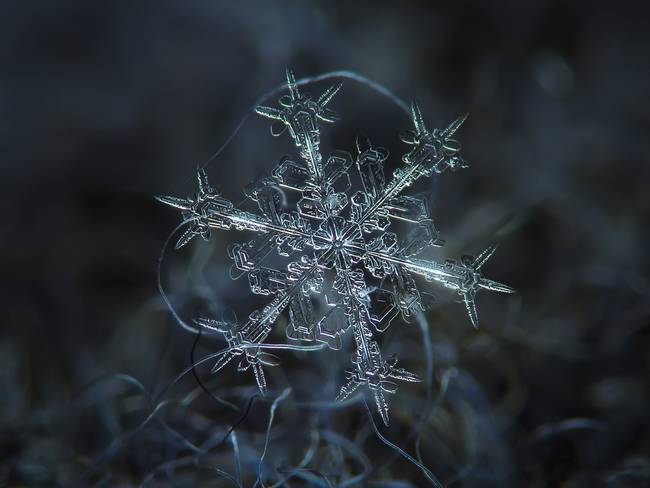 snow2.jpg.650x0 q70 crop smart